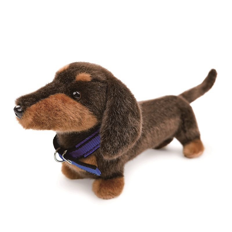 Dark brown short-haired dachshund dog toy with a blue collar from a reliable wholesale supplier.