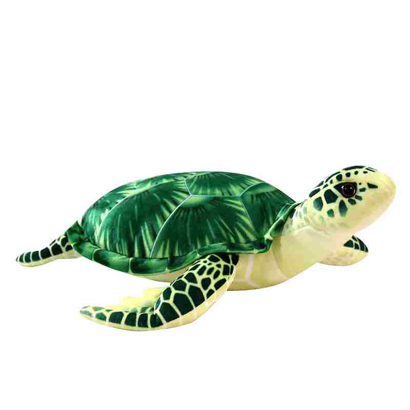 Wholesale realistic green sea turtle plush isolated on white background, perfect for B2B ecommerce catalogs.